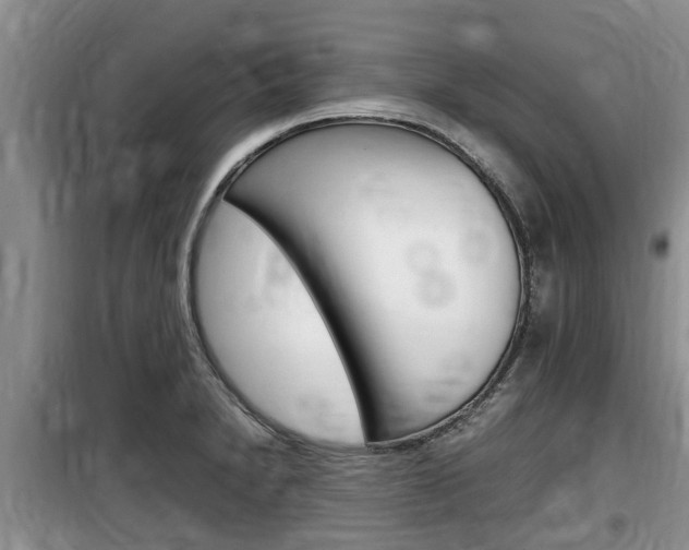 X0000100191230200805300717