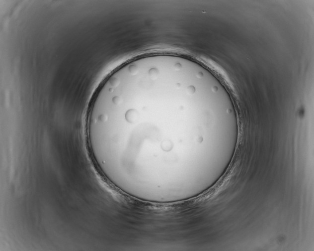 X0000100191231200805300717