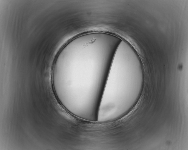 X0000100191232200805300717
