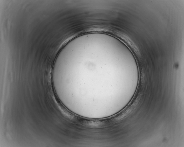 X0000100191233200805300717