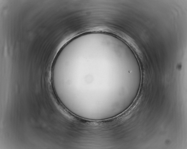 X0000100191234200805300717