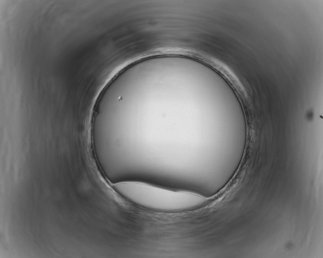 X0000100191236200805300717