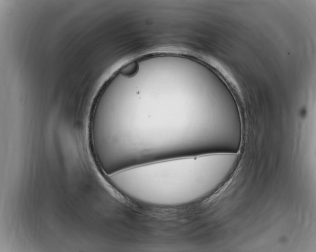 X0000100191237200805300717