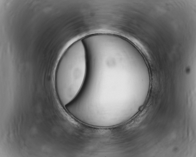 X0000100191238200805300717