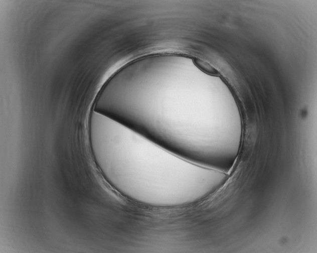X0000100191242200805300718