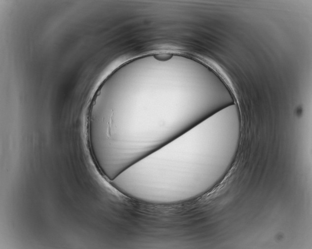 X0000100191243200805300718