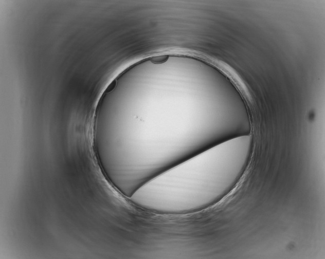 X0000100191244200805300718