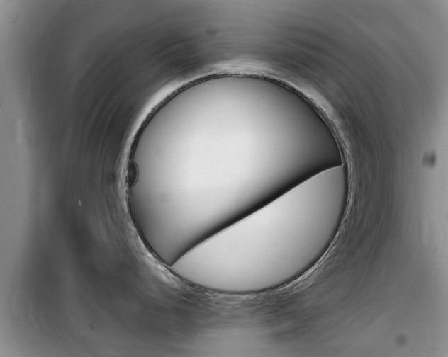X0000100191248200805300718