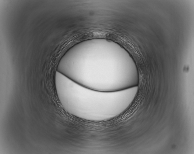X0000100191249200805300717