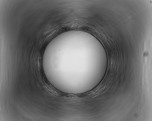X0000100191250200805300717