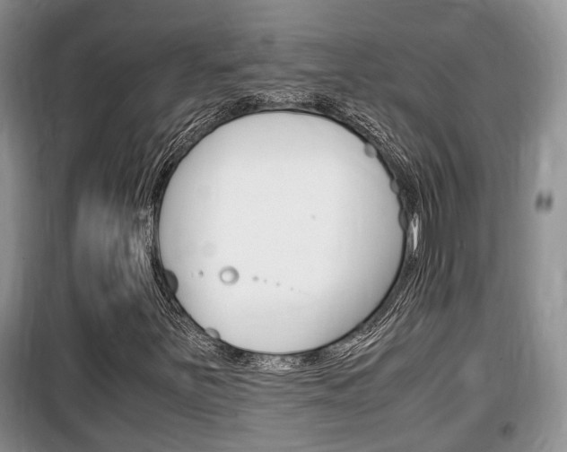 X0000100191251200805300717