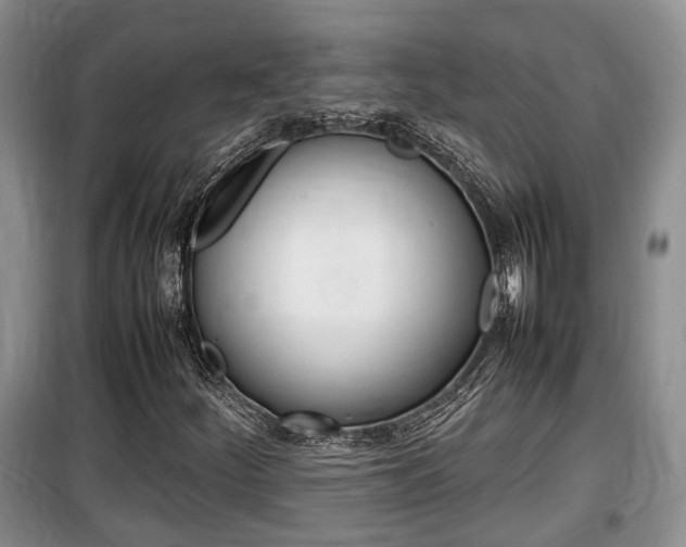 X0000100191252200805300717
