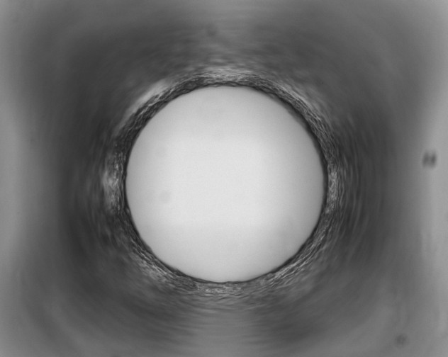 X0000100191254200805300717