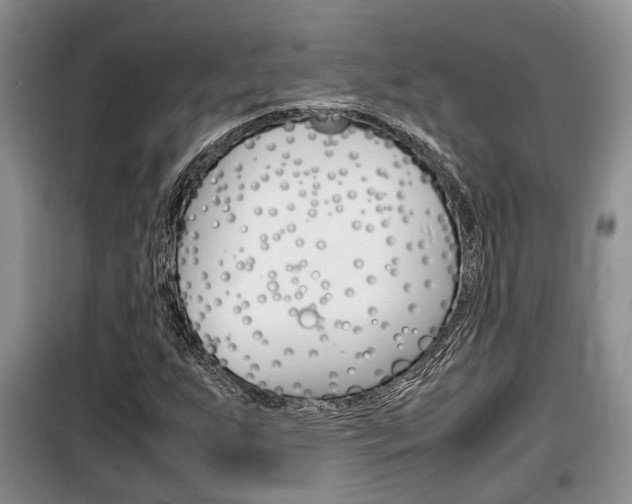 X0000100191255200805300717