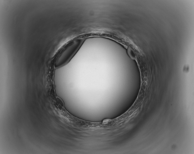 X0000100191256200805300717