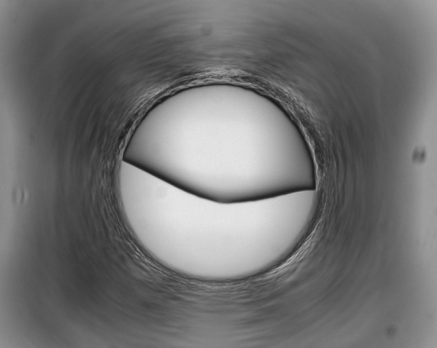X0000100191257200805300717