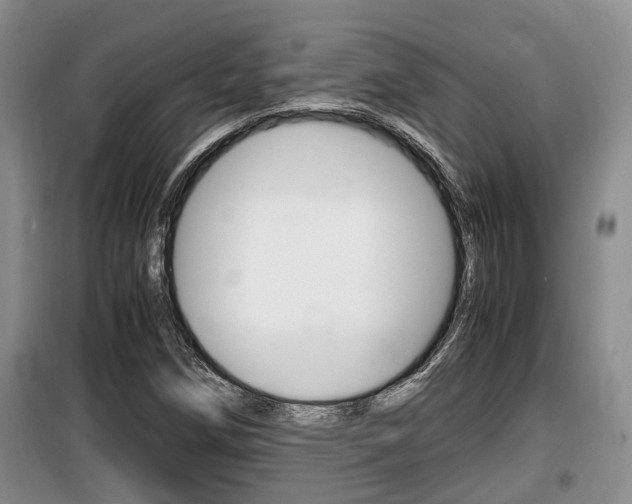X0000100191258200805300717