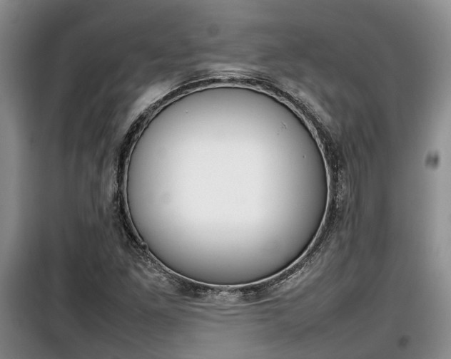 X0000100191261200805300717