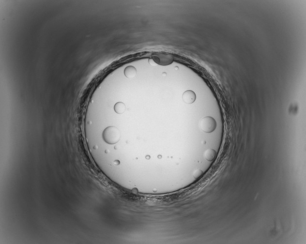 X0000100191263200805300717