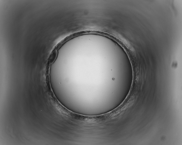 X0000100191264200805300717