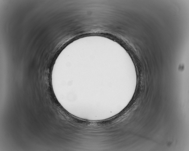 X0000100191265200805300717