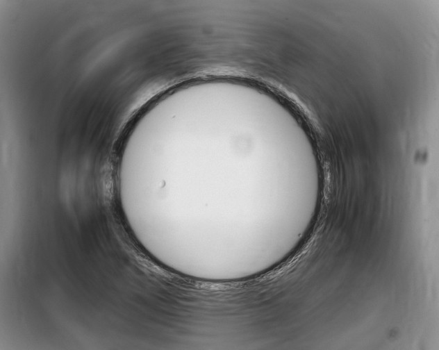 X0000100191266200805300717