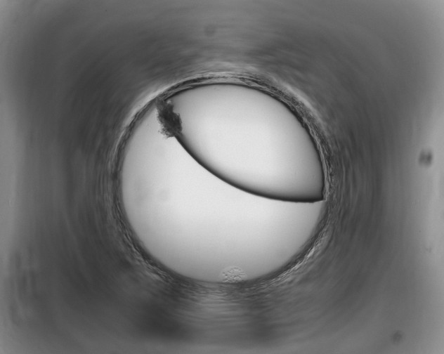 X0000100191267200805300717