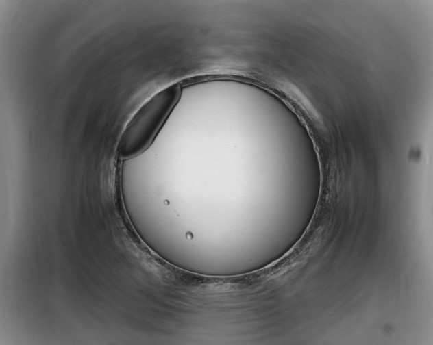 X0000100191268200805300717