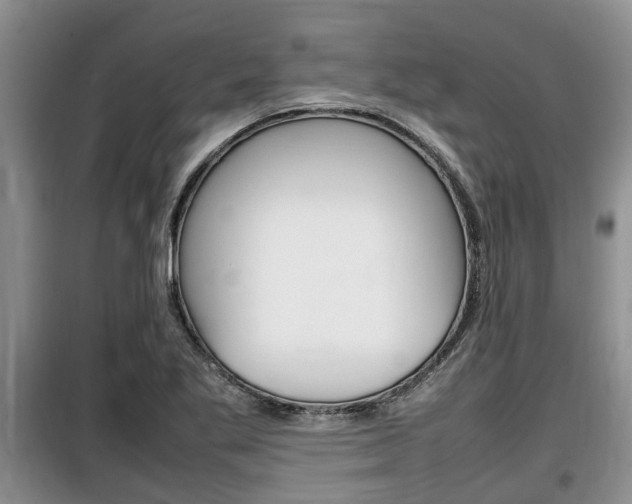 X0000100191269200805300717