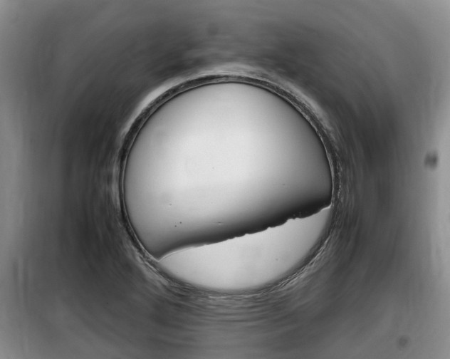 X0000100191272200805300717