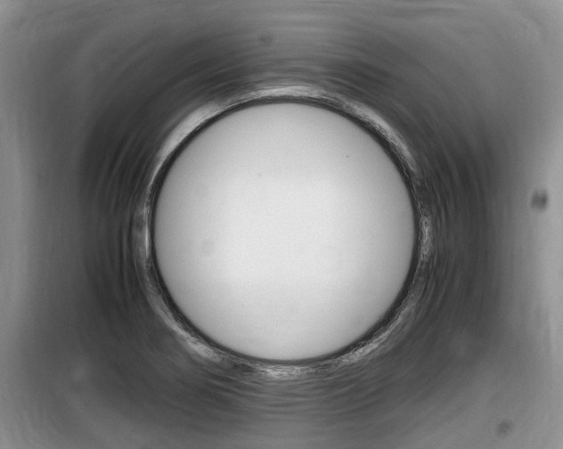 X0000100191274200805300717