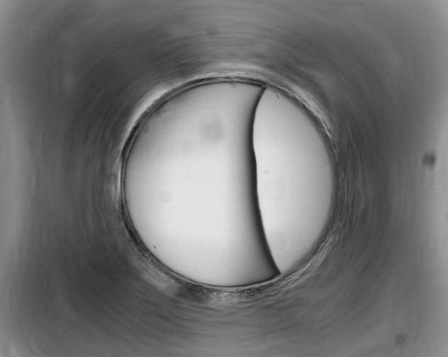X0000100191275200805300717