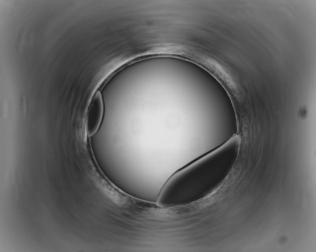 X0000100191276200805300717