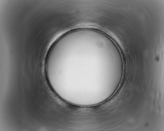 X0000100191277200805300717