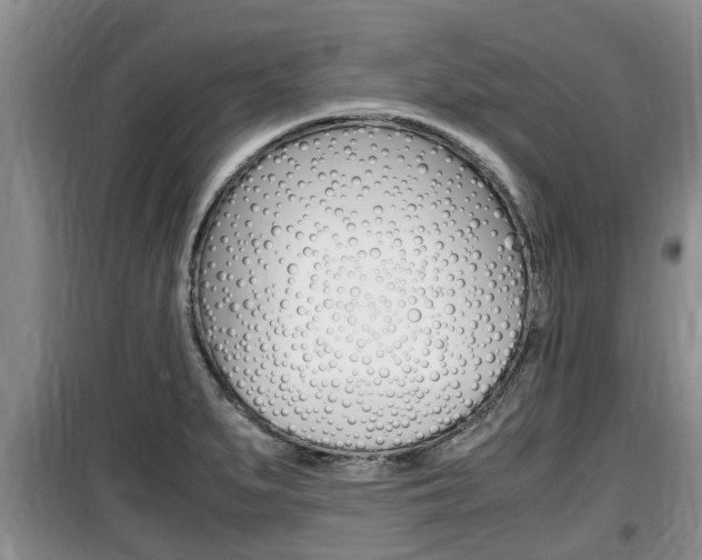 X0000100191279200805300717