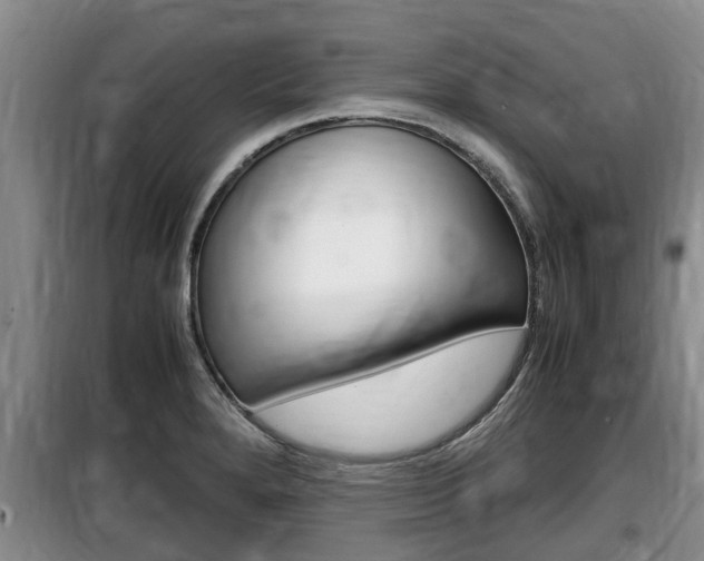 X0000100191280200805300717