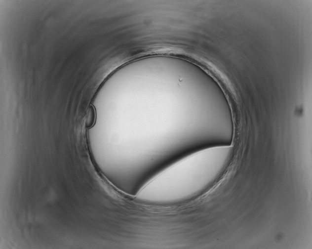 X0000100191281200805300717