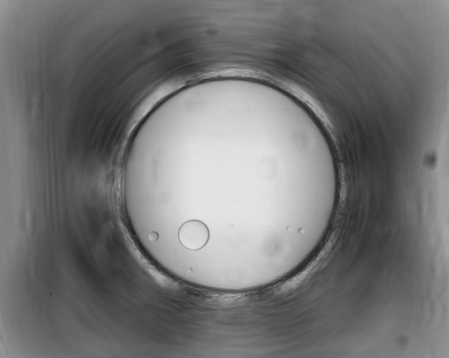 X0000100191282200805300717