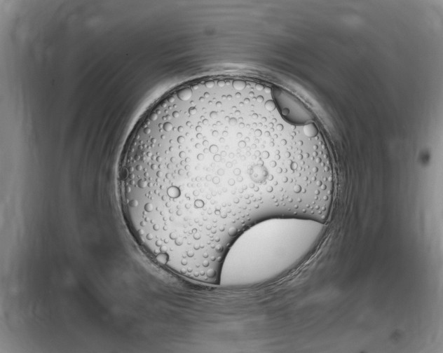 X0000100191283200805300717