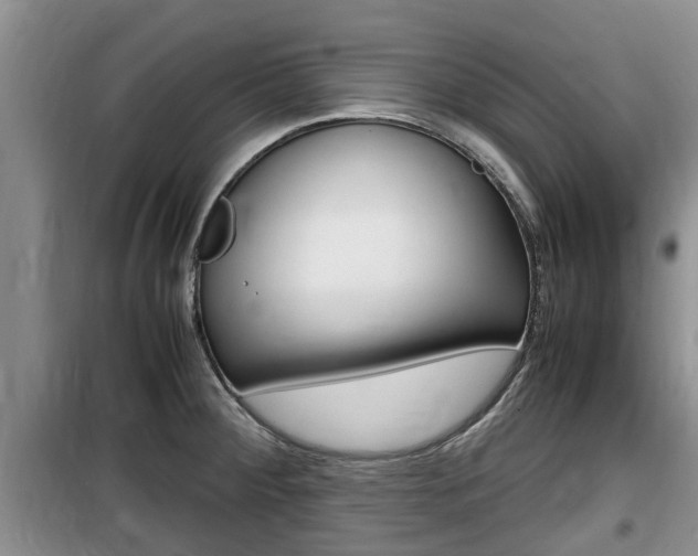 X0000100191284200805300717