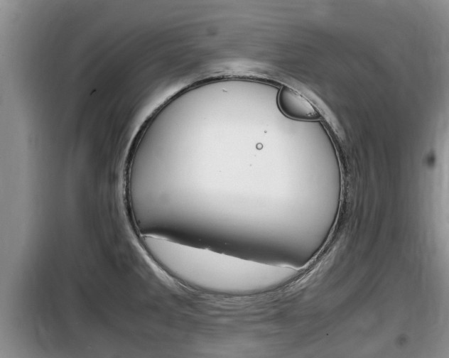 X0000100191285200805300717