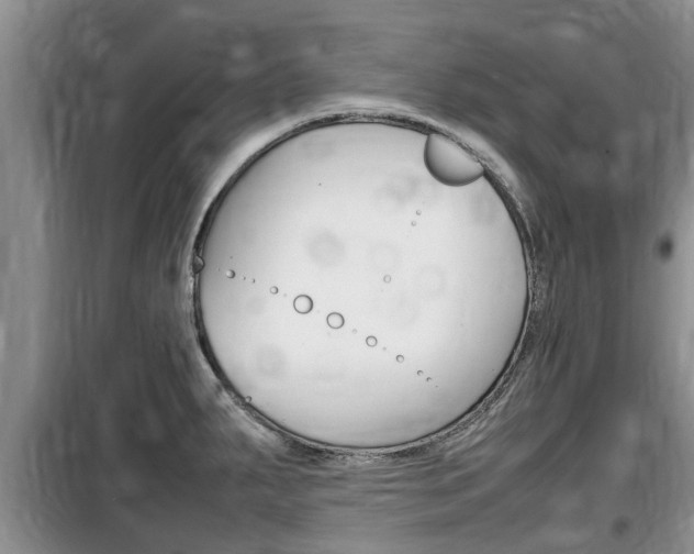 X0000100191287200805300717