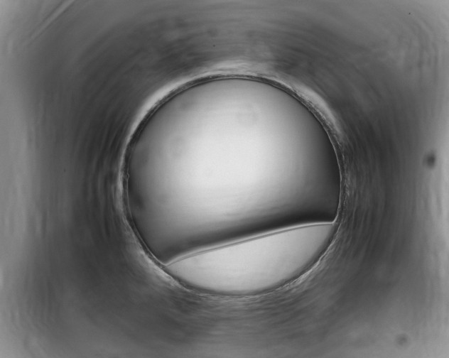 X0000100191288200805300716