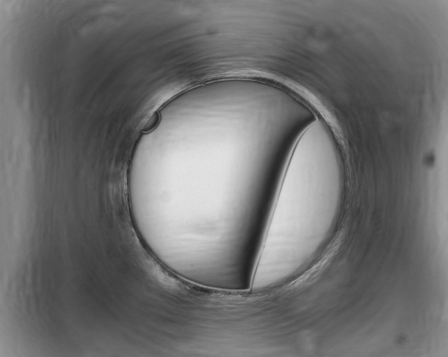 X0000100191289200805300716