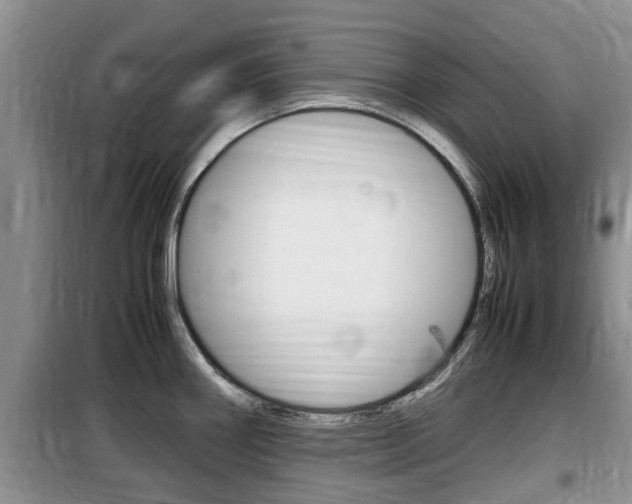 X0000100191290200805300716