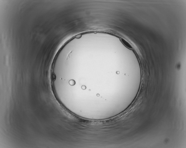 X0000100191291200805300716