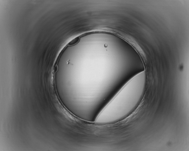 X0000100191292200805300716