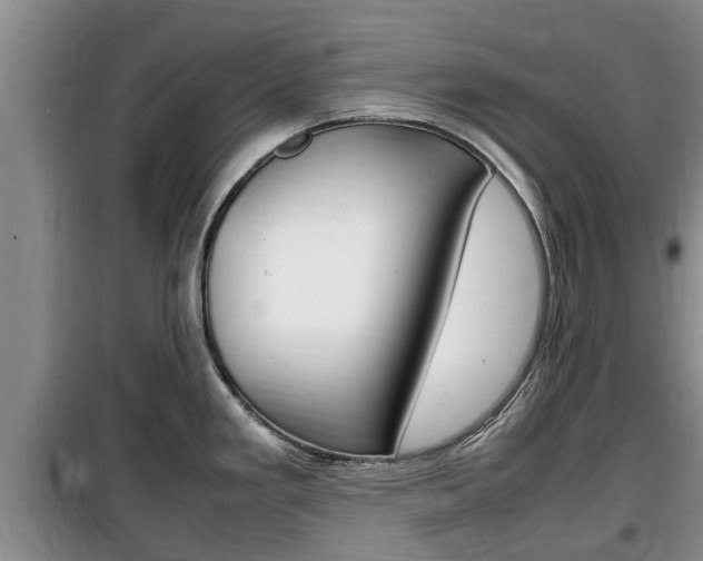 X0000100191293200805300716