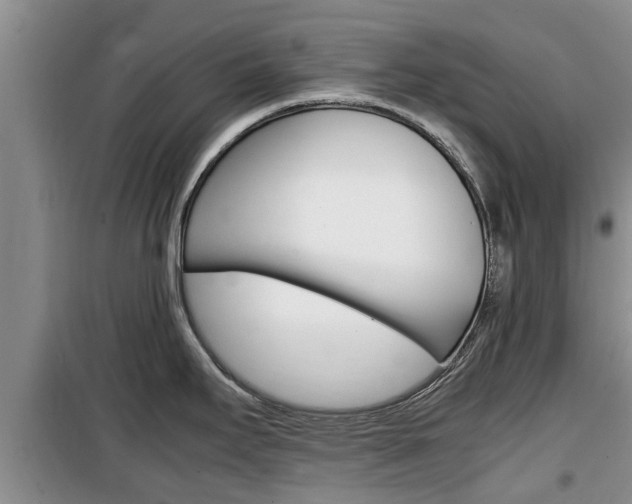 X0000100191295200805300716