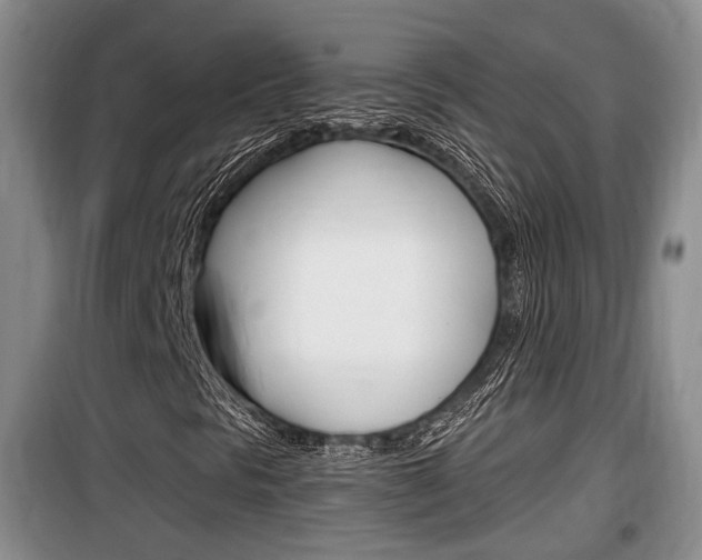 X0000100191297200805300716